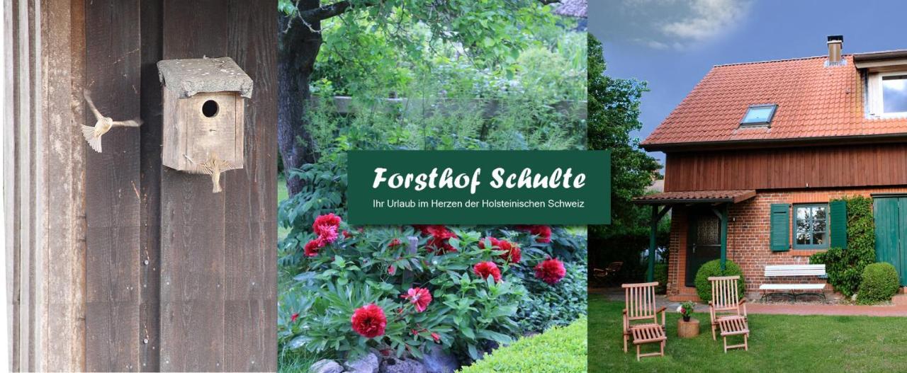 Forsthof Schulte Villa Pronstorf Buitenkant foto